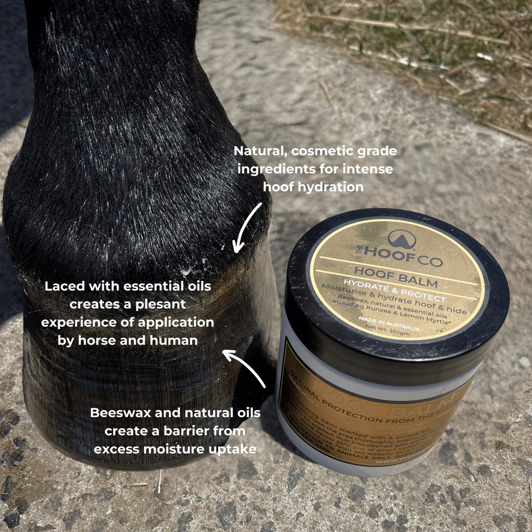 The Hoof Co Hoof Balm- Lube those hooves