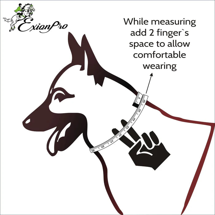 ExionPro Fancy Stitched Leather Dog Collar