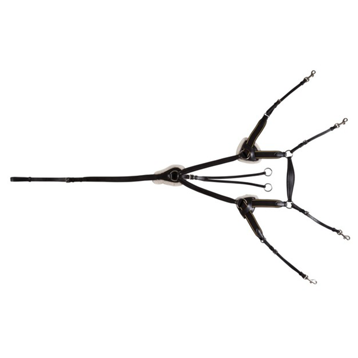 Jeremy & Lord 5 Point Breastplate