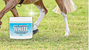 NRG Bright White Powder 300gm