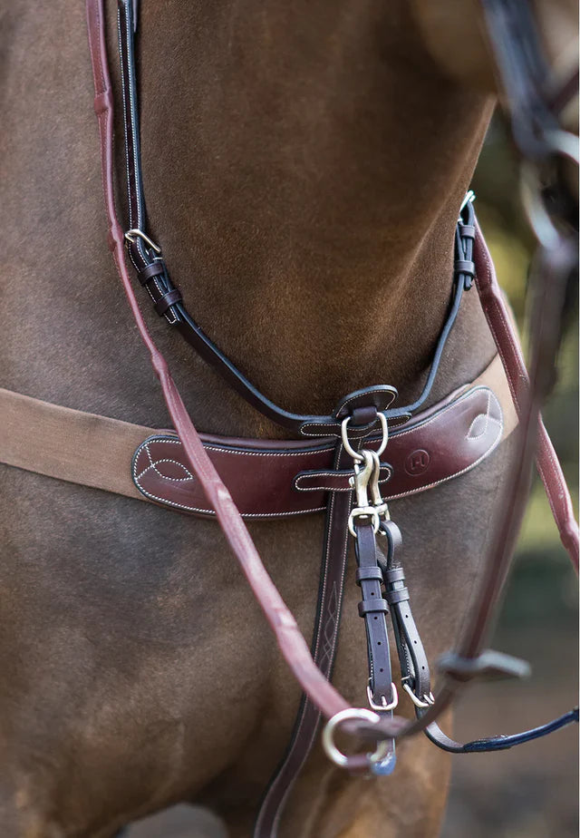 Hinterland Ultimate Martingale Havana
