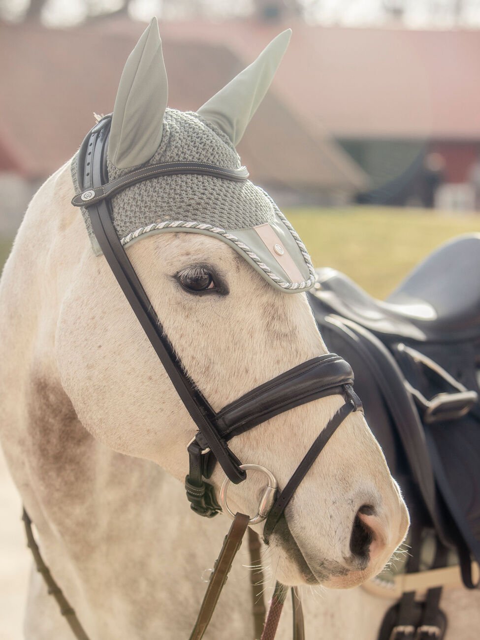 PSOS Dressage Pad Bow Thyme Set