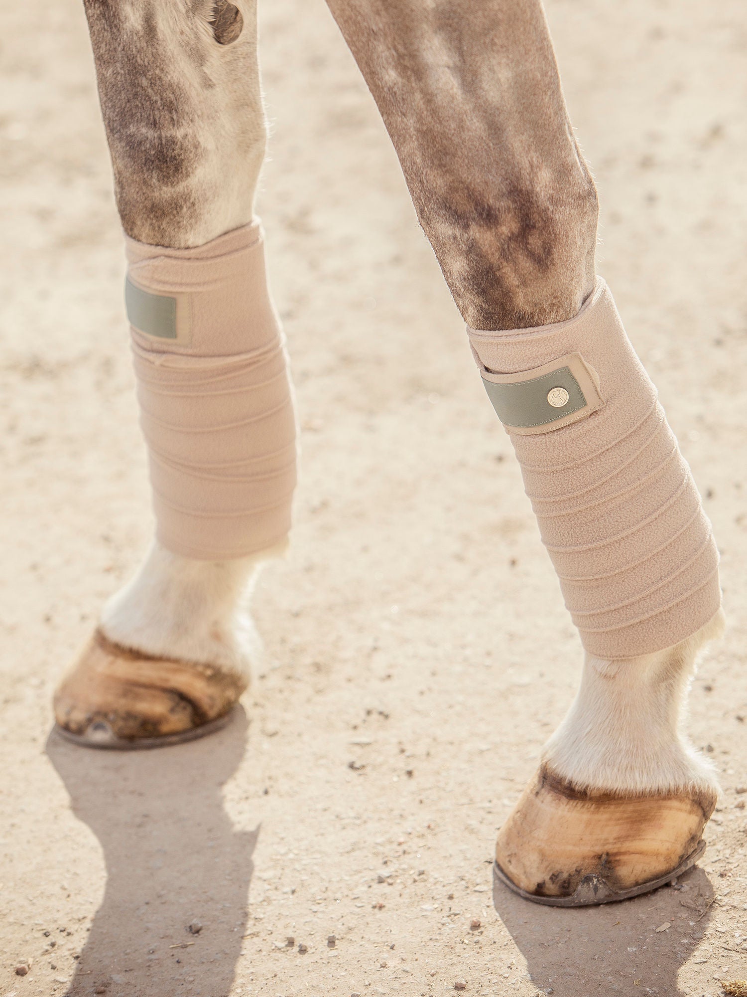 PSOS Dressage Pad Bow Thyme Set