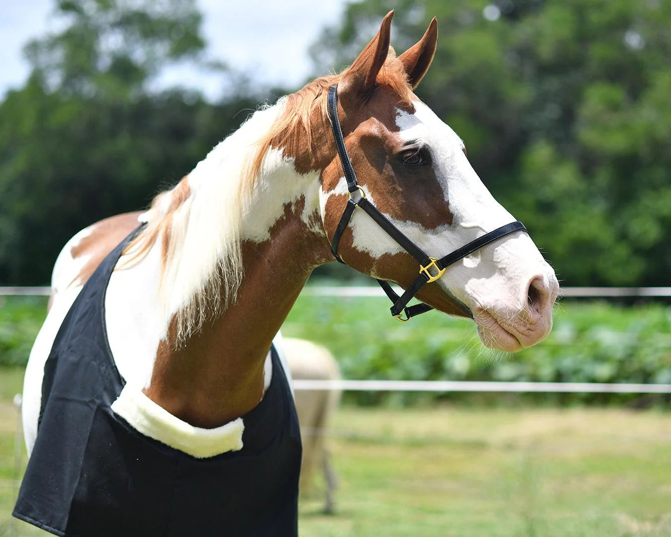 STC Cotton Drill Rug Bib