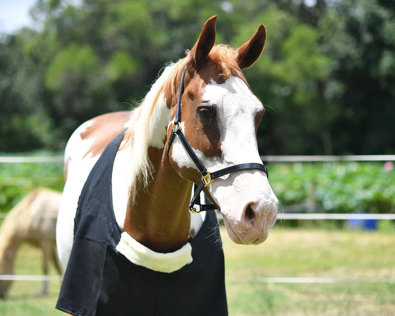 STC Cotton Drill Rug Bib