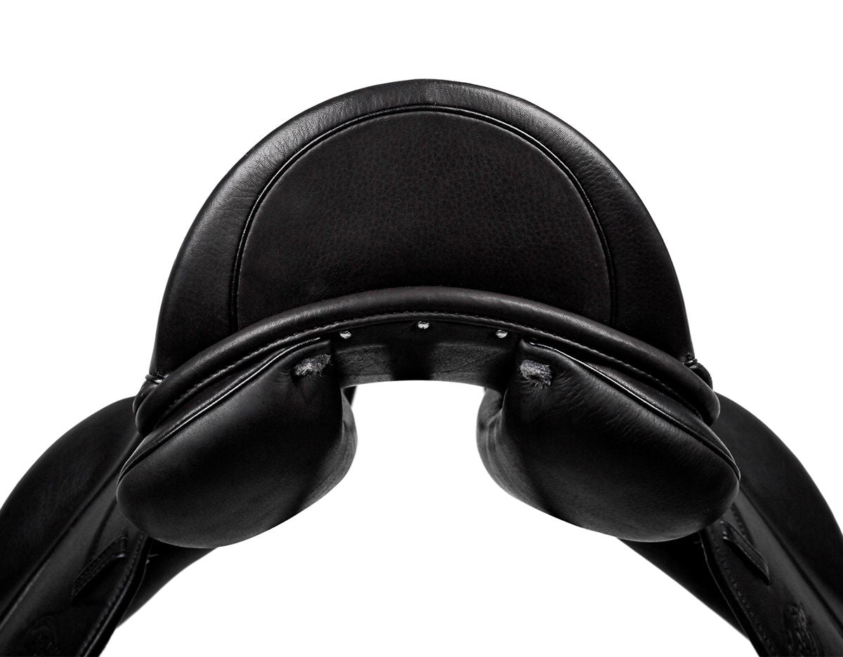 Syd Hill Pony Dressage Pro