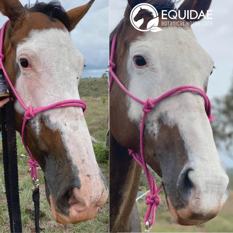 Equidae Soothing & Calm Horse Sunscreen Powder 100g + Brush