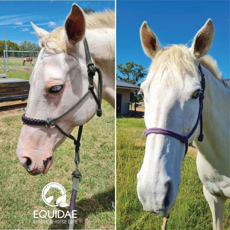 Equidae Soothing & Calm Horse Sunscreen Powder 100g + Brush