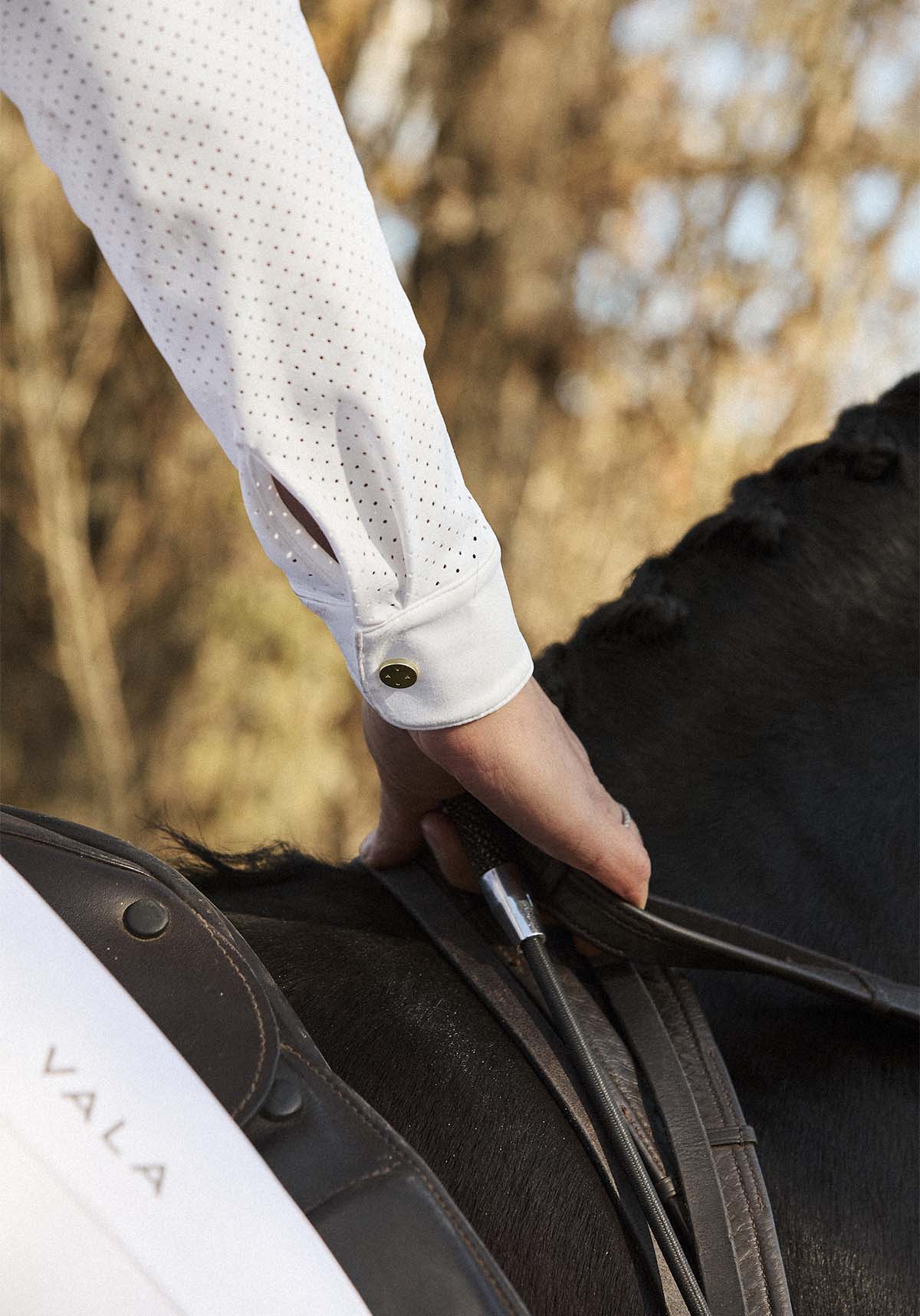 Vala Mesh Long Sleeve Show Shirt
