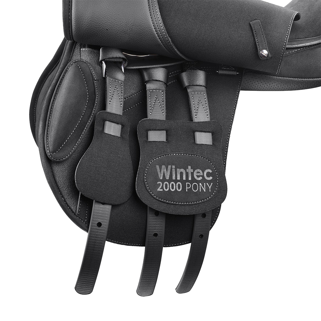Wintec 2000 AP Pony