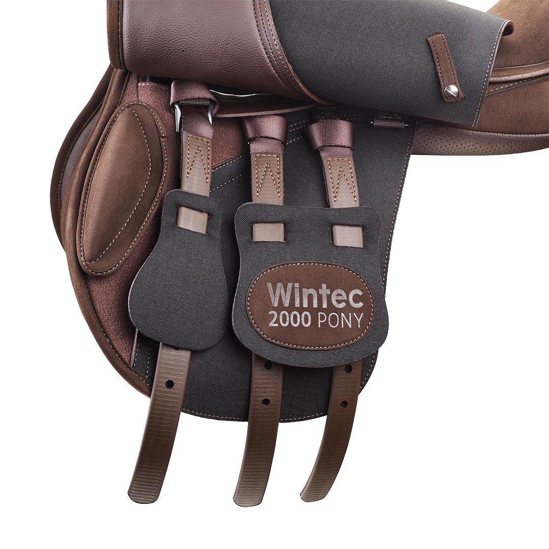 Wintec 2000 AP Pony