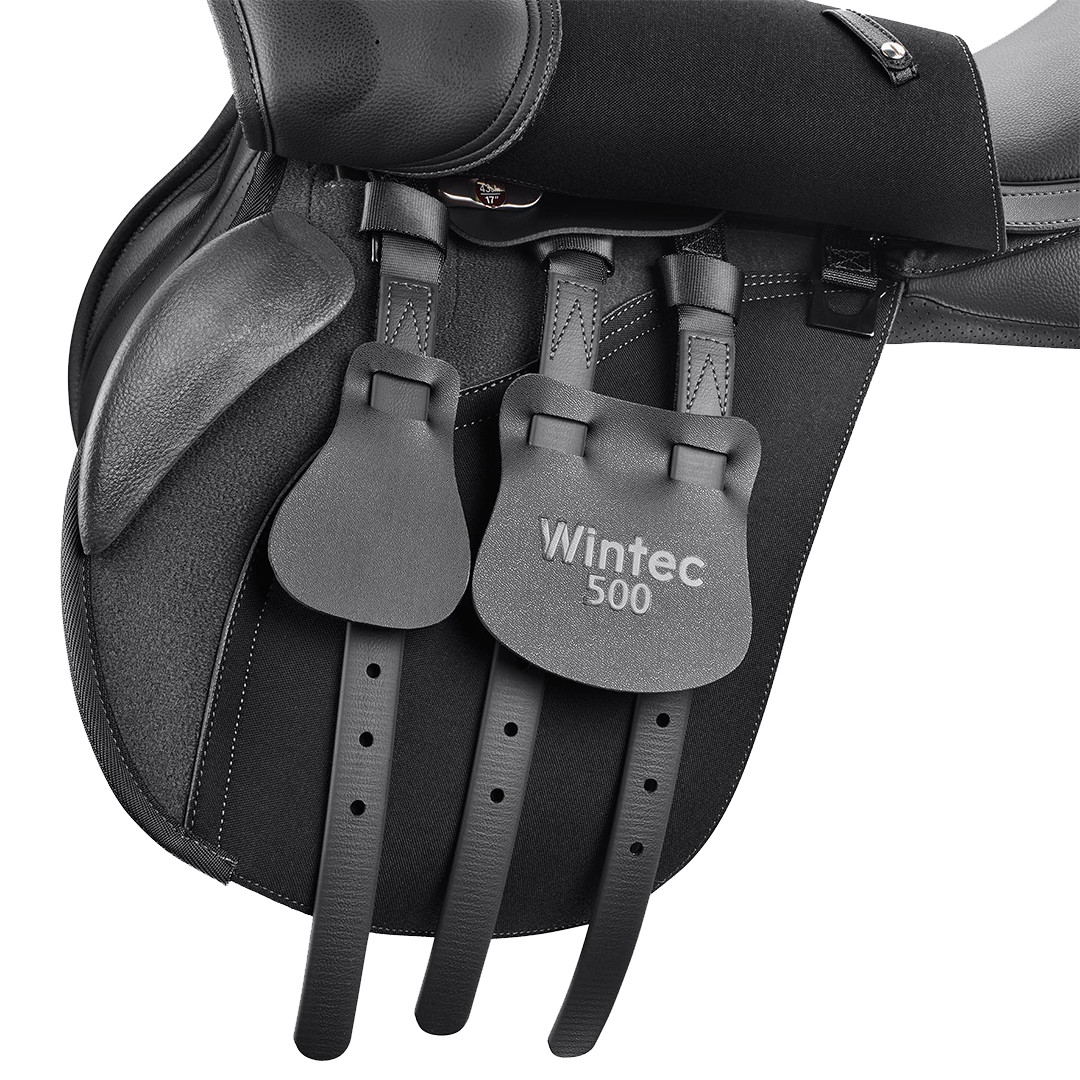 Wintec 500 AP Pony