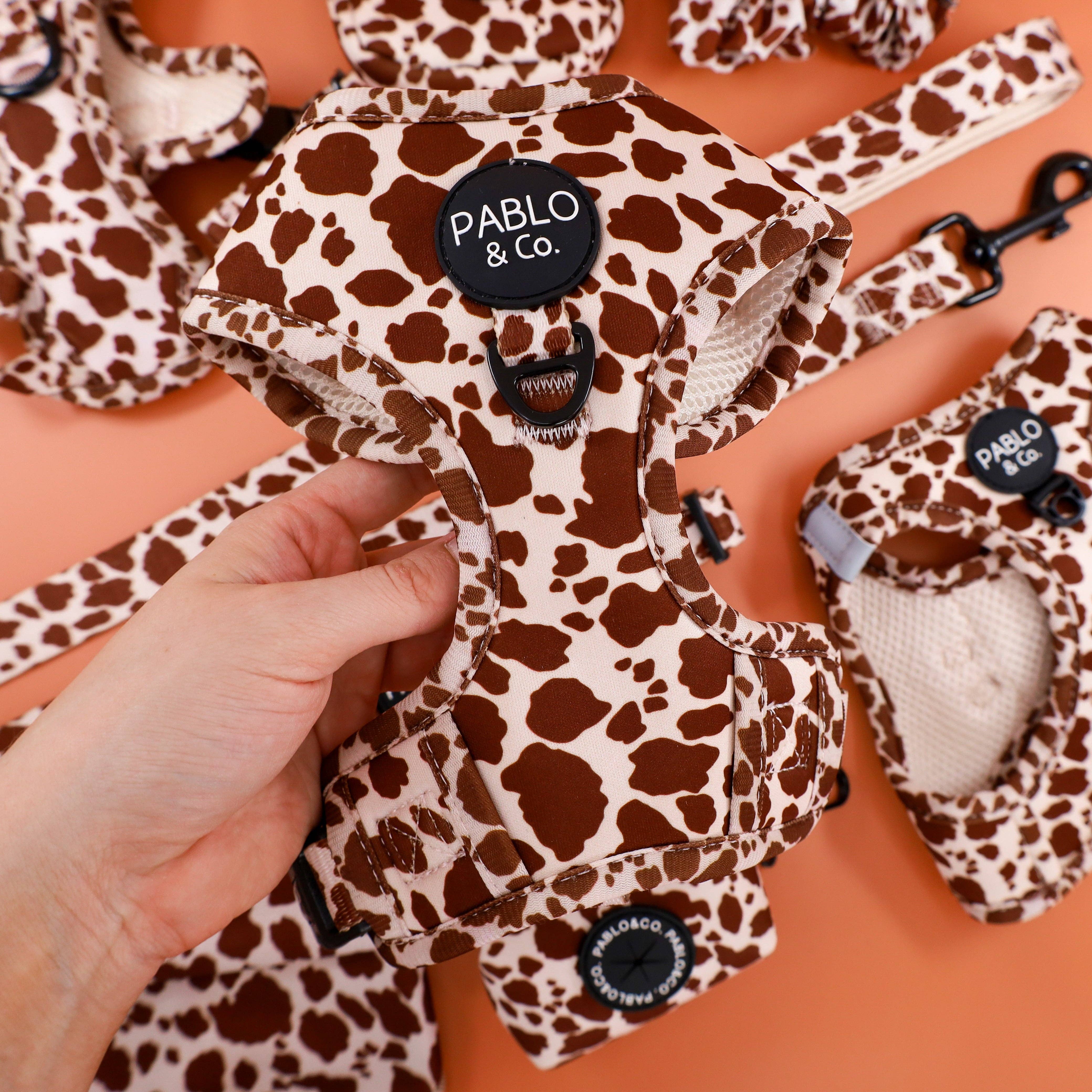 Rodeo: Adjustable Harness