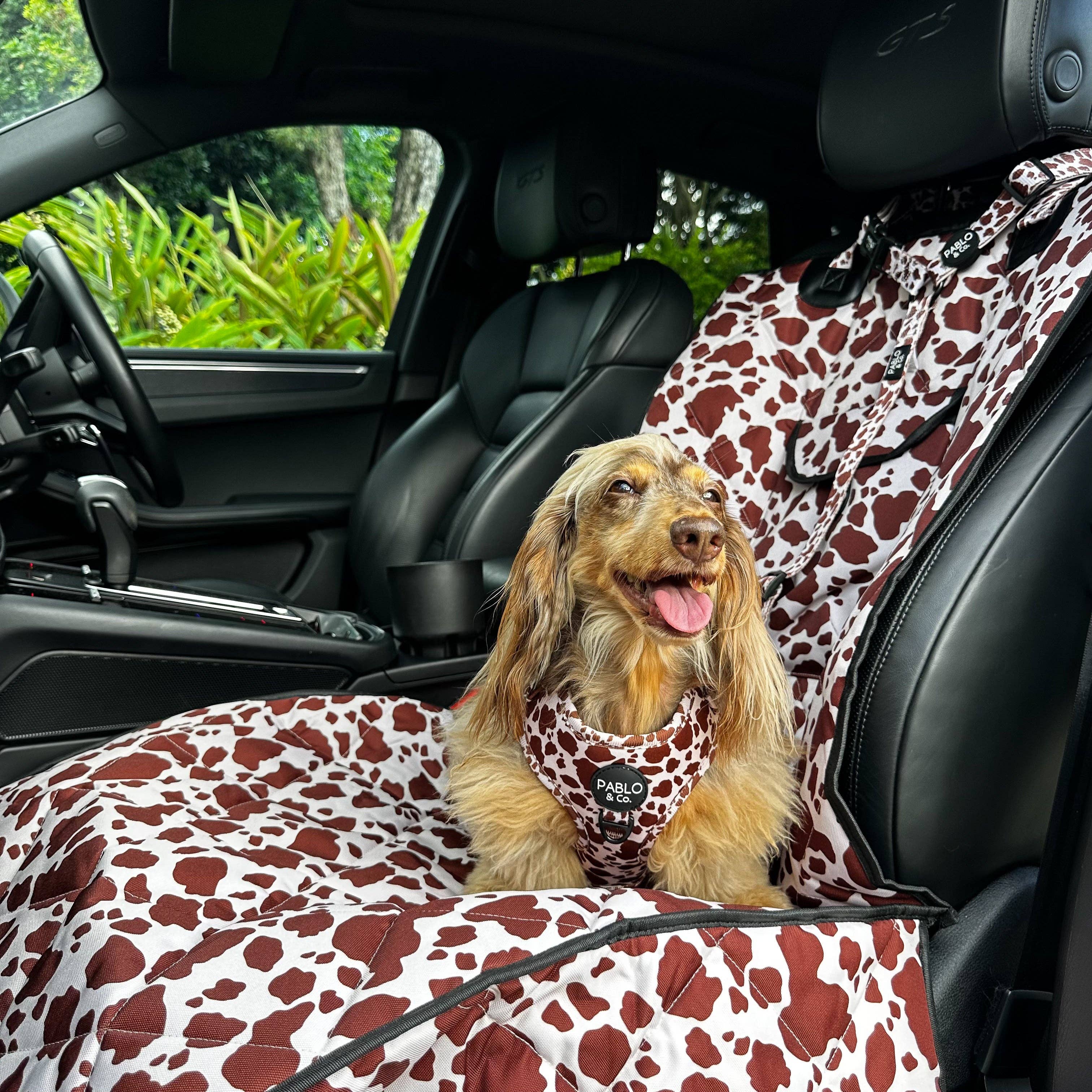 Rodeo: Deluxe Single Car Seat Cover
