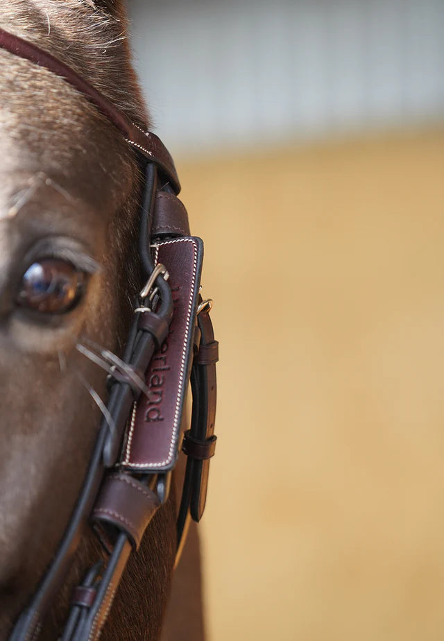 Hinterland Donโt Look Back Blinkers