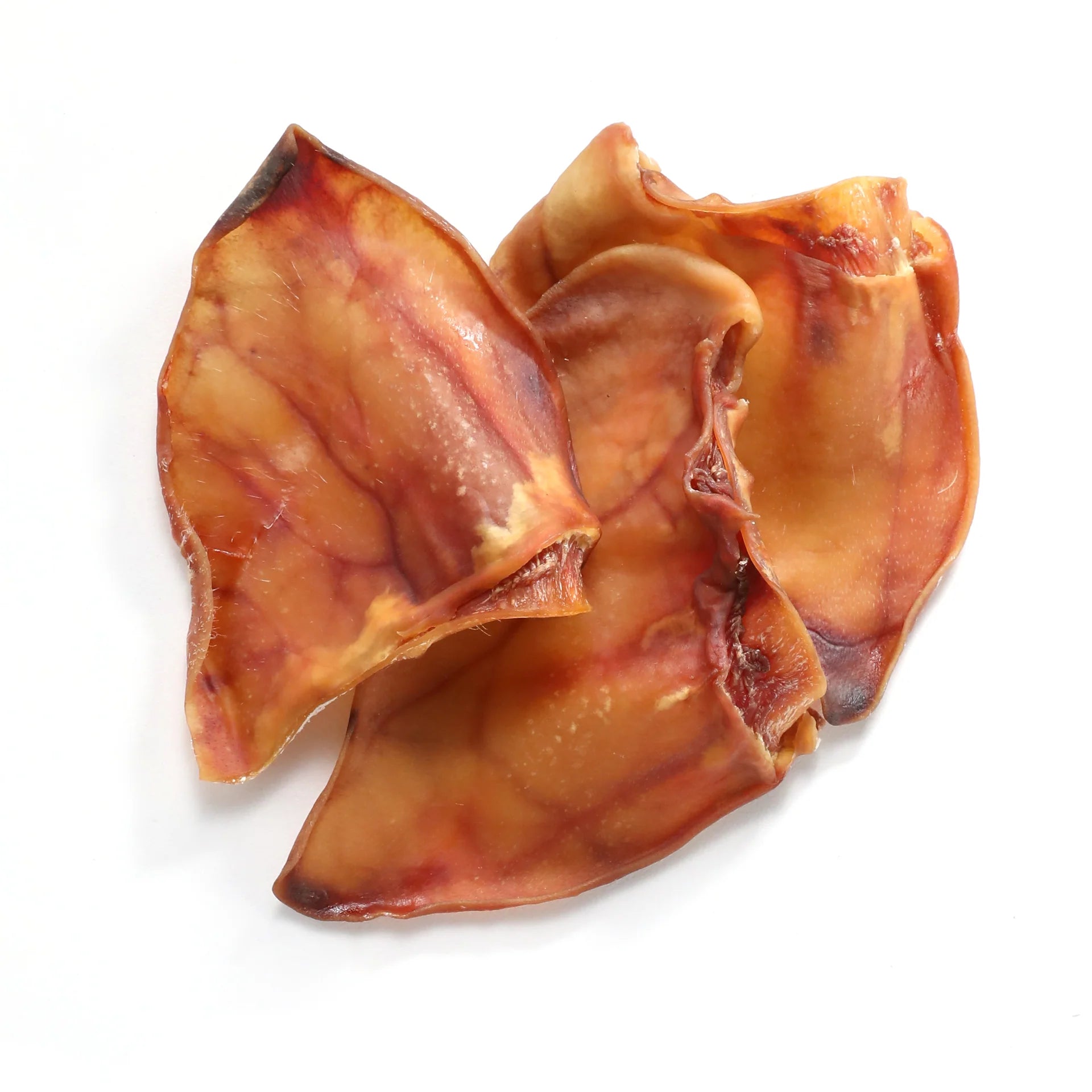 Pawk Ear 10 Pack