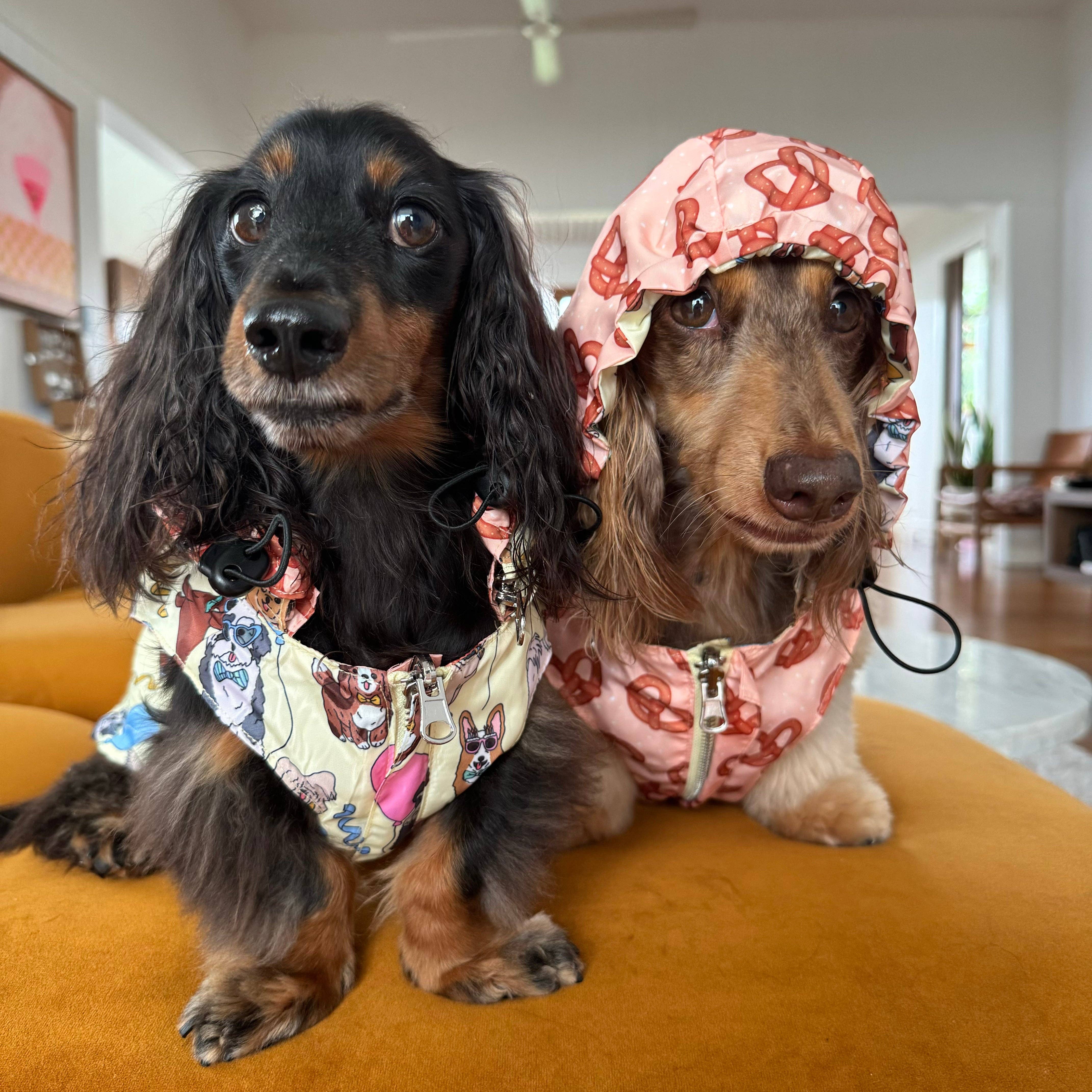 Party Dawgs / Pretzels: Reversible Dog Raincoat