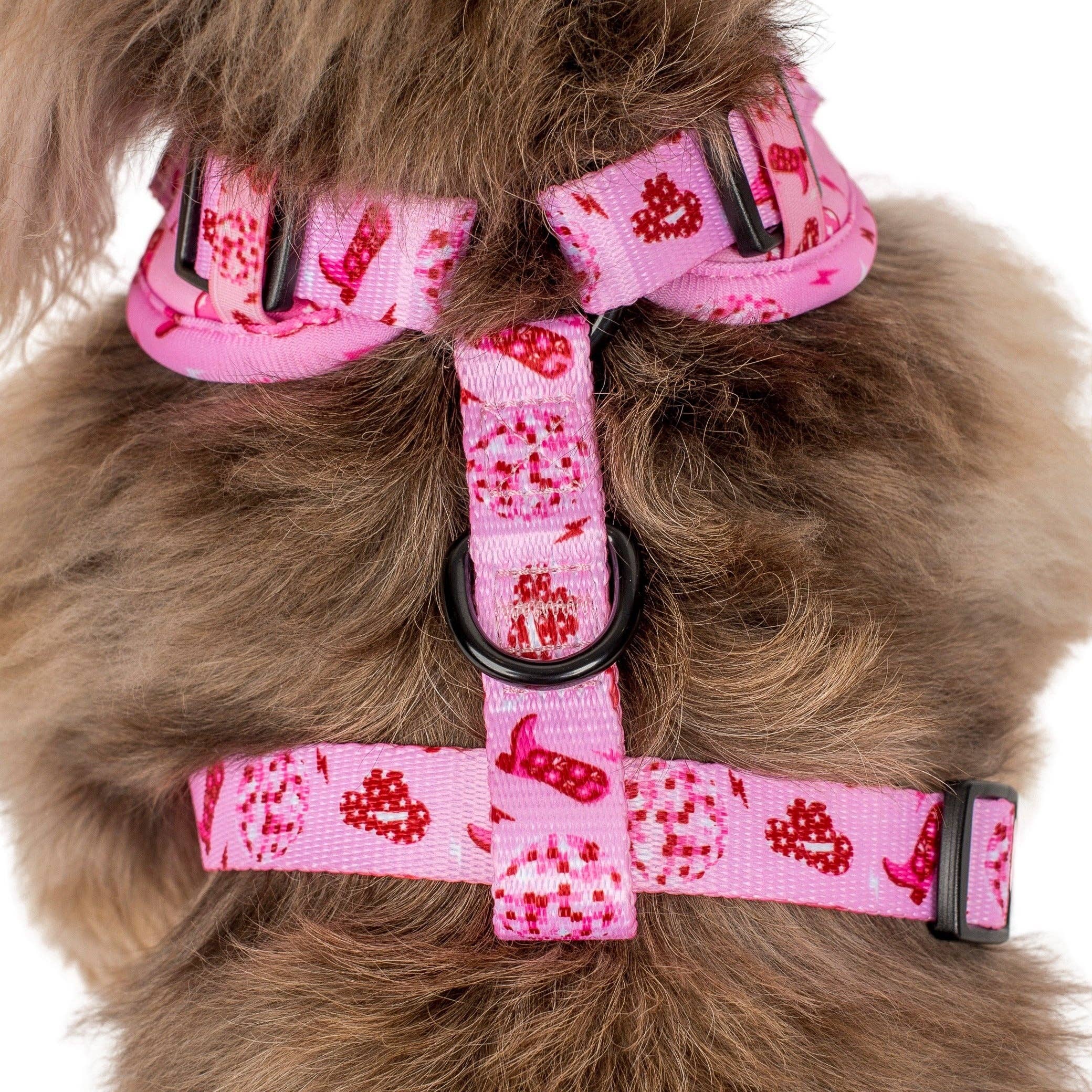 Disco Cowgirl: Adjustable Dog Harness