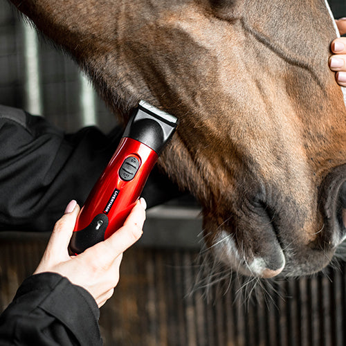 Liveryman Clipper Classic Trimmer (Brushless)
