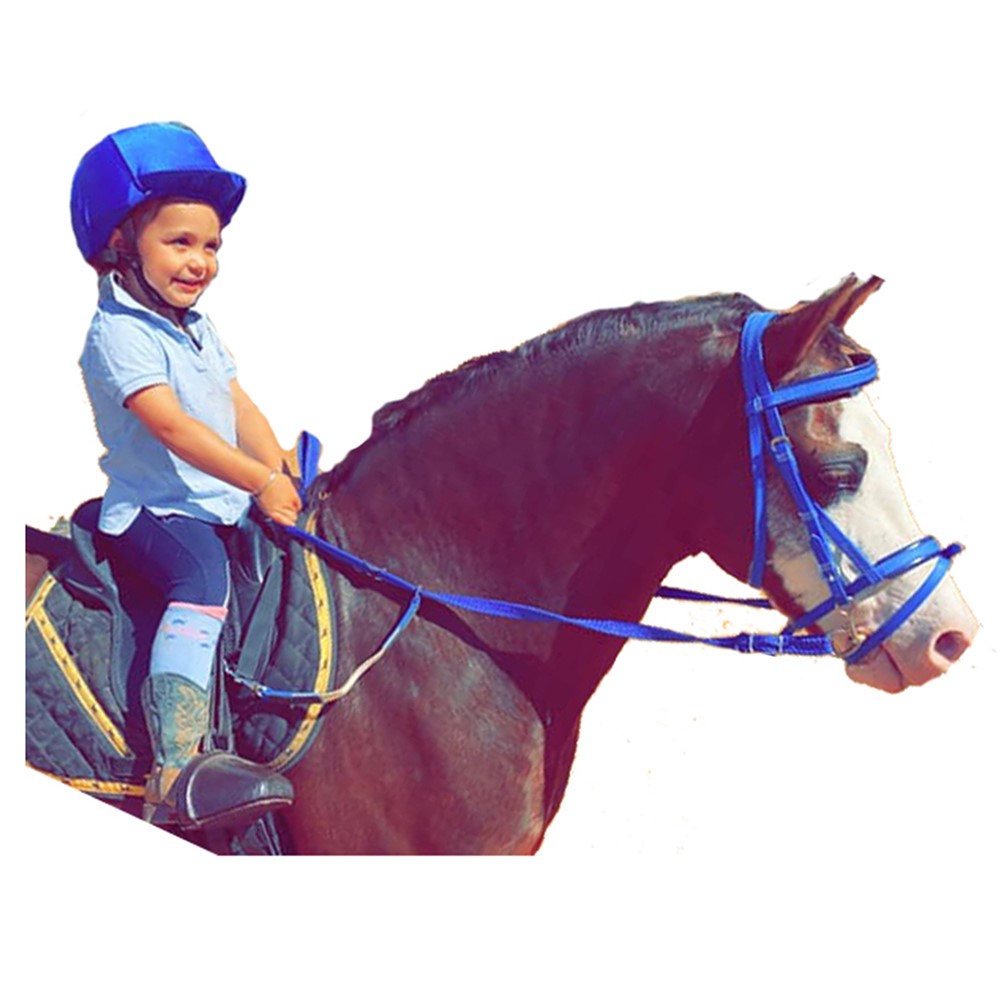 Contact Training Reins w Braided Nylon