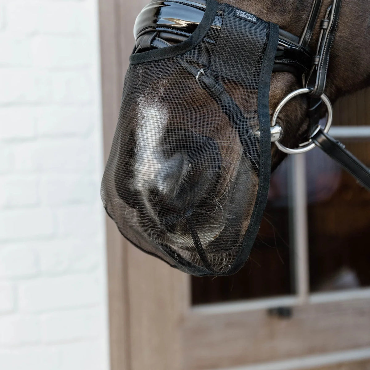 Kentucky Anti Fly Nose Net