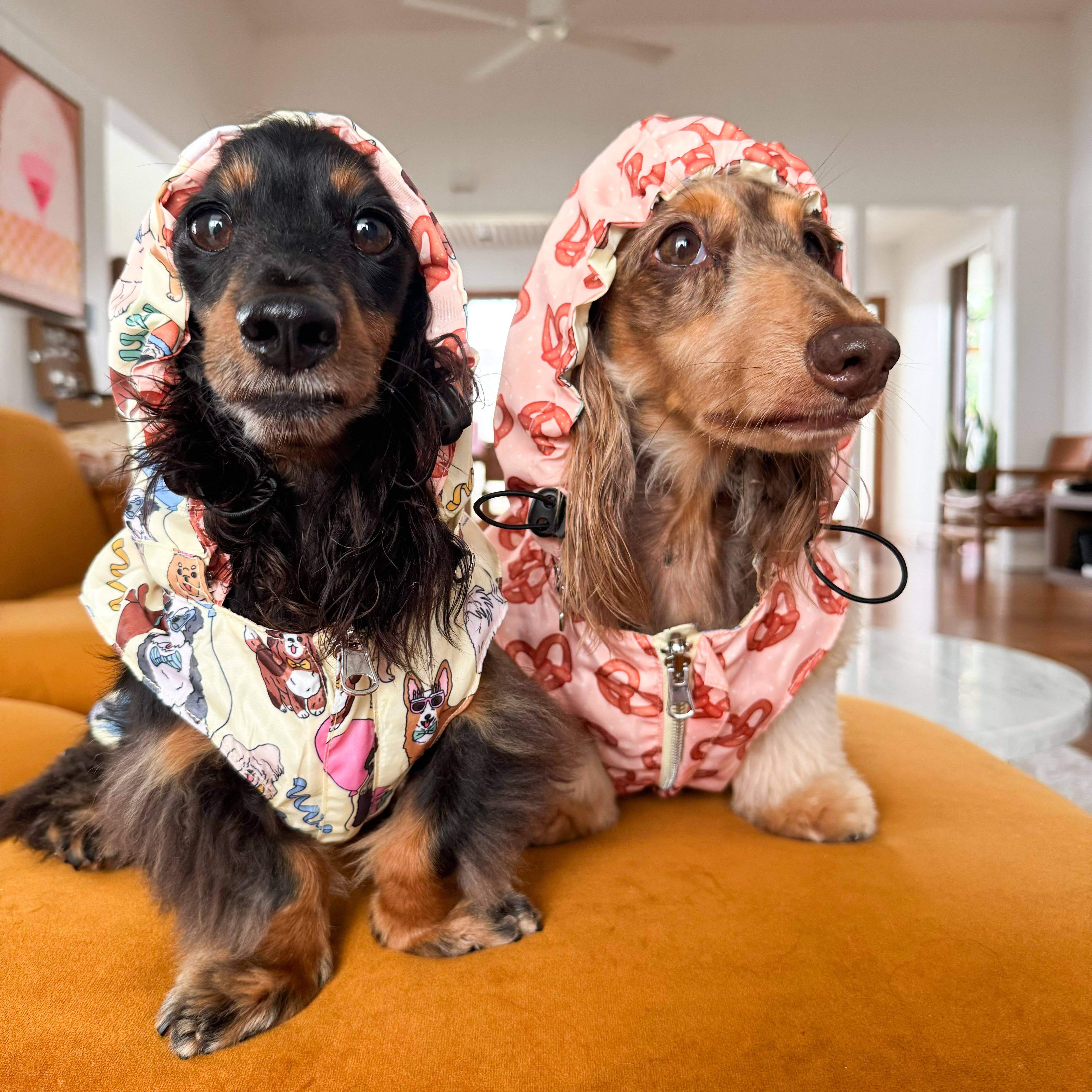 Party Dawgs / Pretzels: Reversible Dog Raincoat