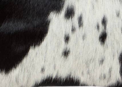 Cabin Size Cowhide Travel Bag - Europe (B69816)