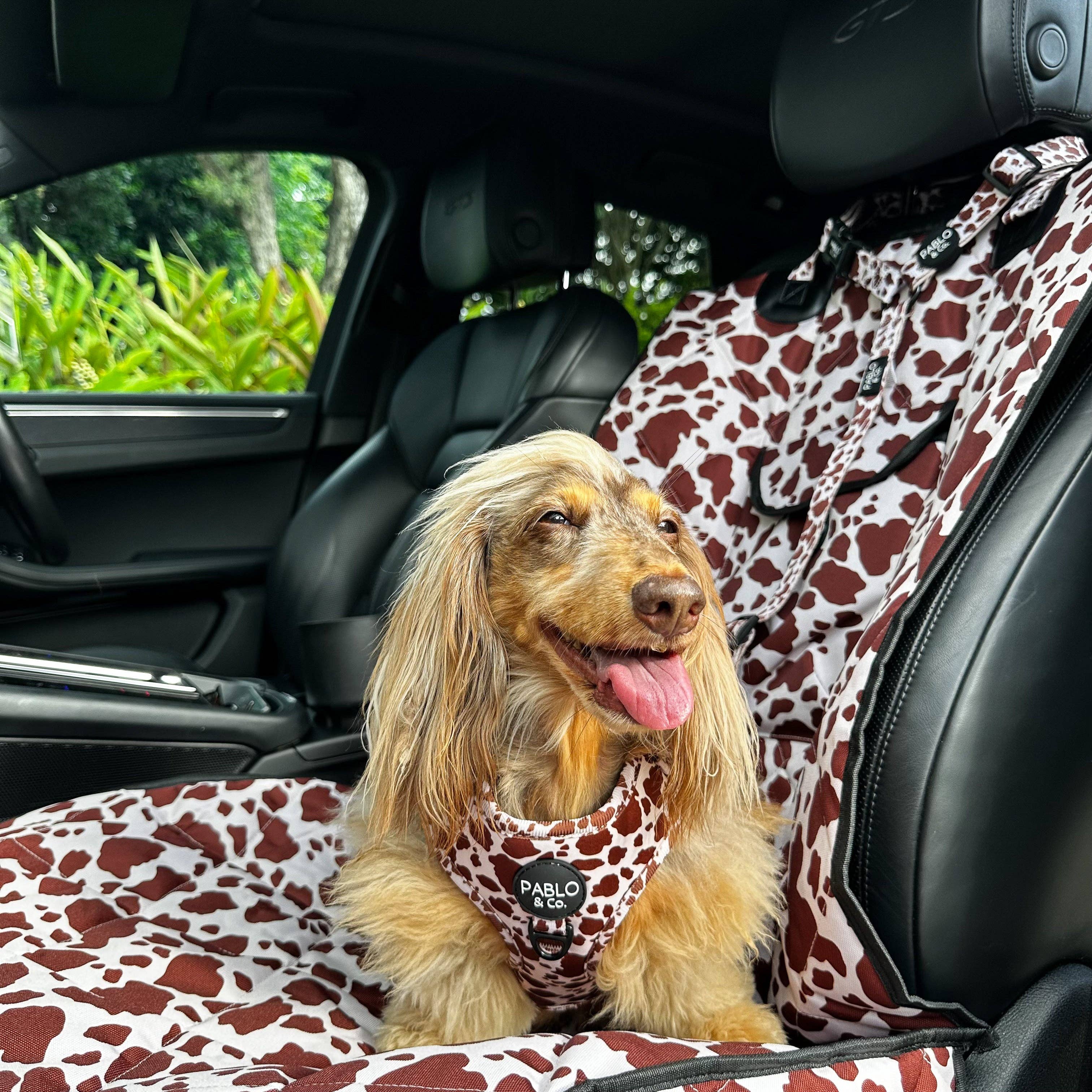 Rodeo: Deluxe Single Car Seat Cover