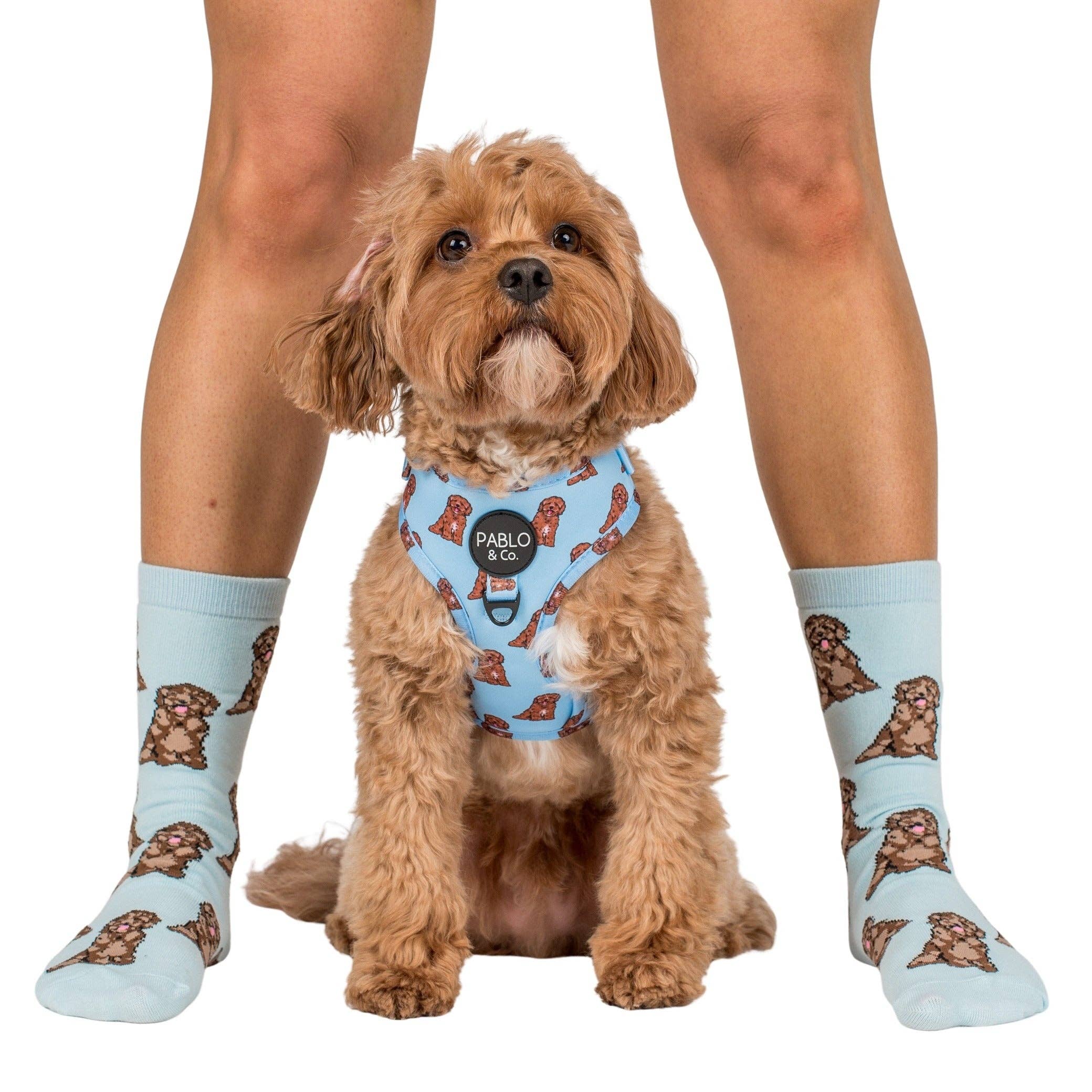 Dog Breed Socks