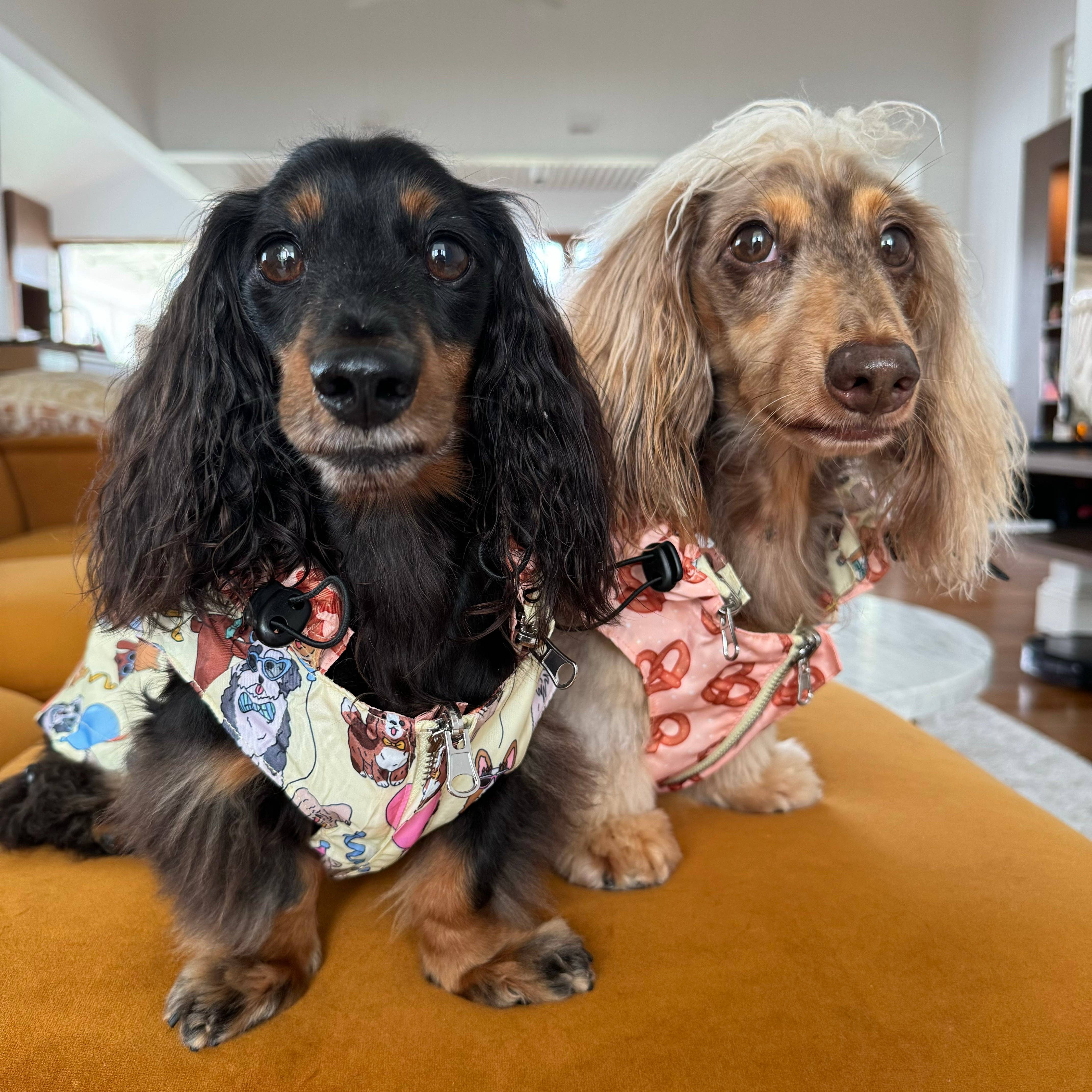 Party Dawgs / Pretzels: Reversible Dog Raincoat