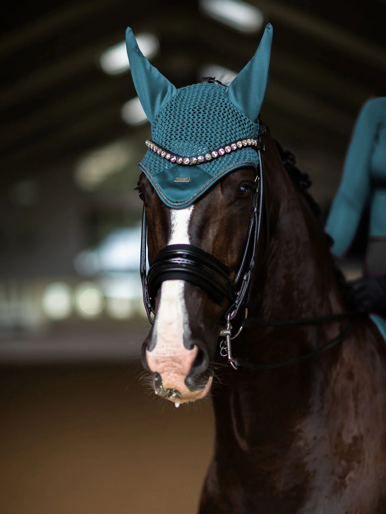 Equestrian Stockholm Fly Hood Modern Teal Blue