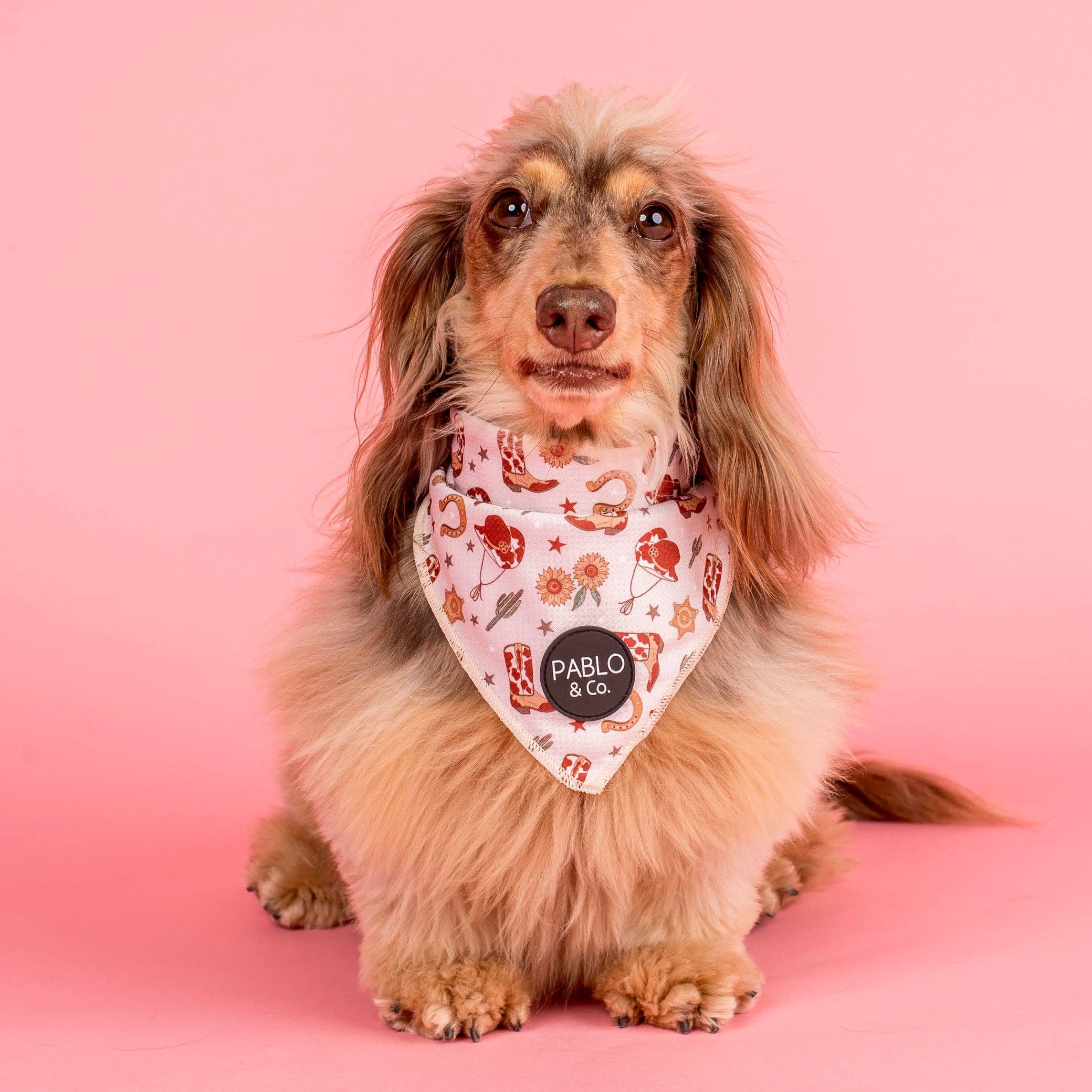 Howdy: Dog Bandana