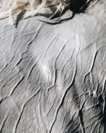 Equidae HYDROBlend 1.35kg