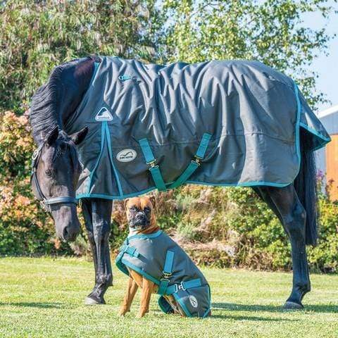 Eurohunter Ironbark Dog Rug