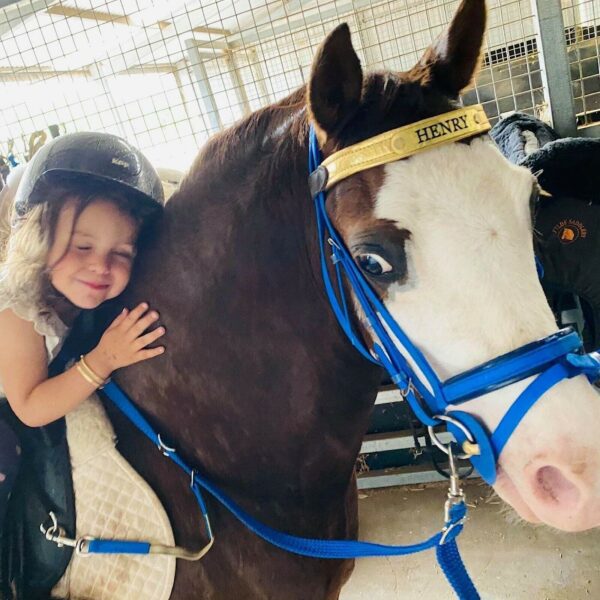 Contact Training Reins w Braided Nylon