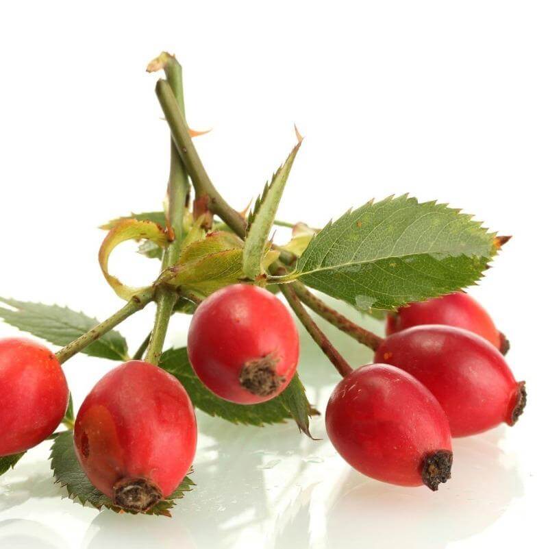 Equidae NUTRIblend 1.8kg