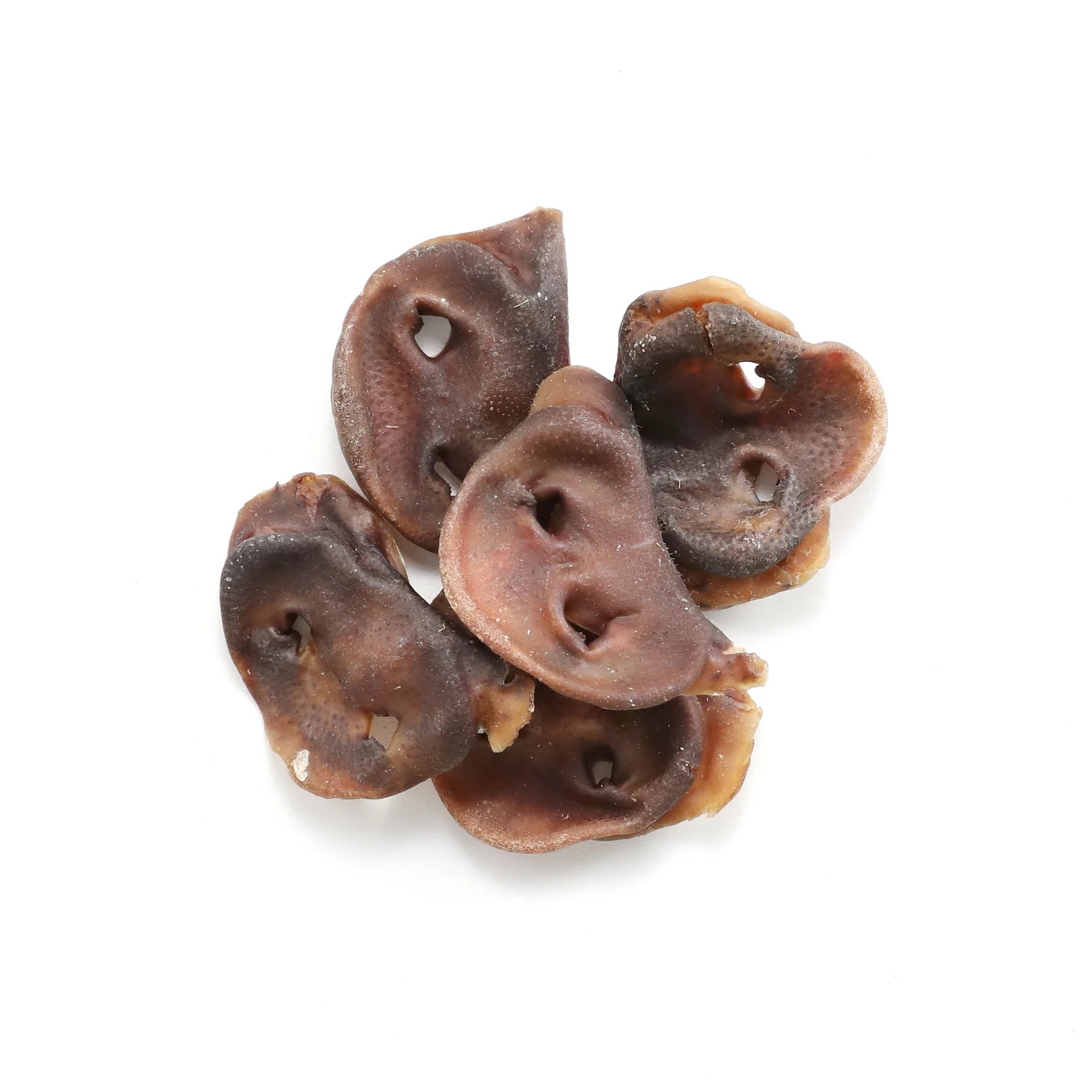 Pork Snouts 10 Pack
