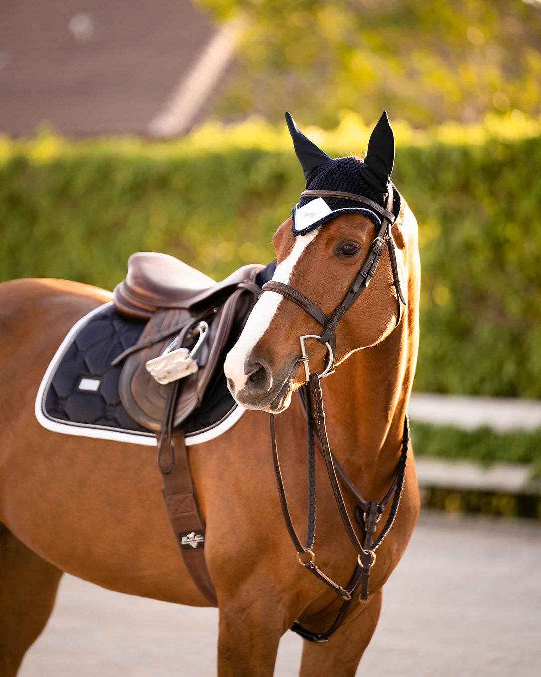 Equestrian Stockholm Jump Saddle Pad Midnight White Edge