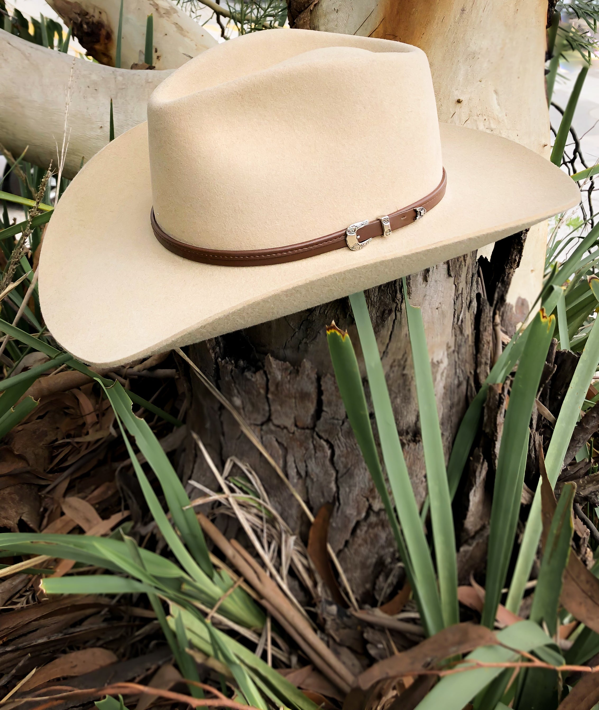 Stetson SENECA SILVERSAND