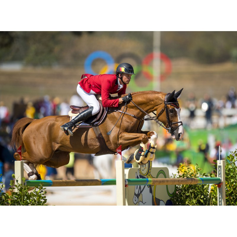 Compositi Reflex Stirrups