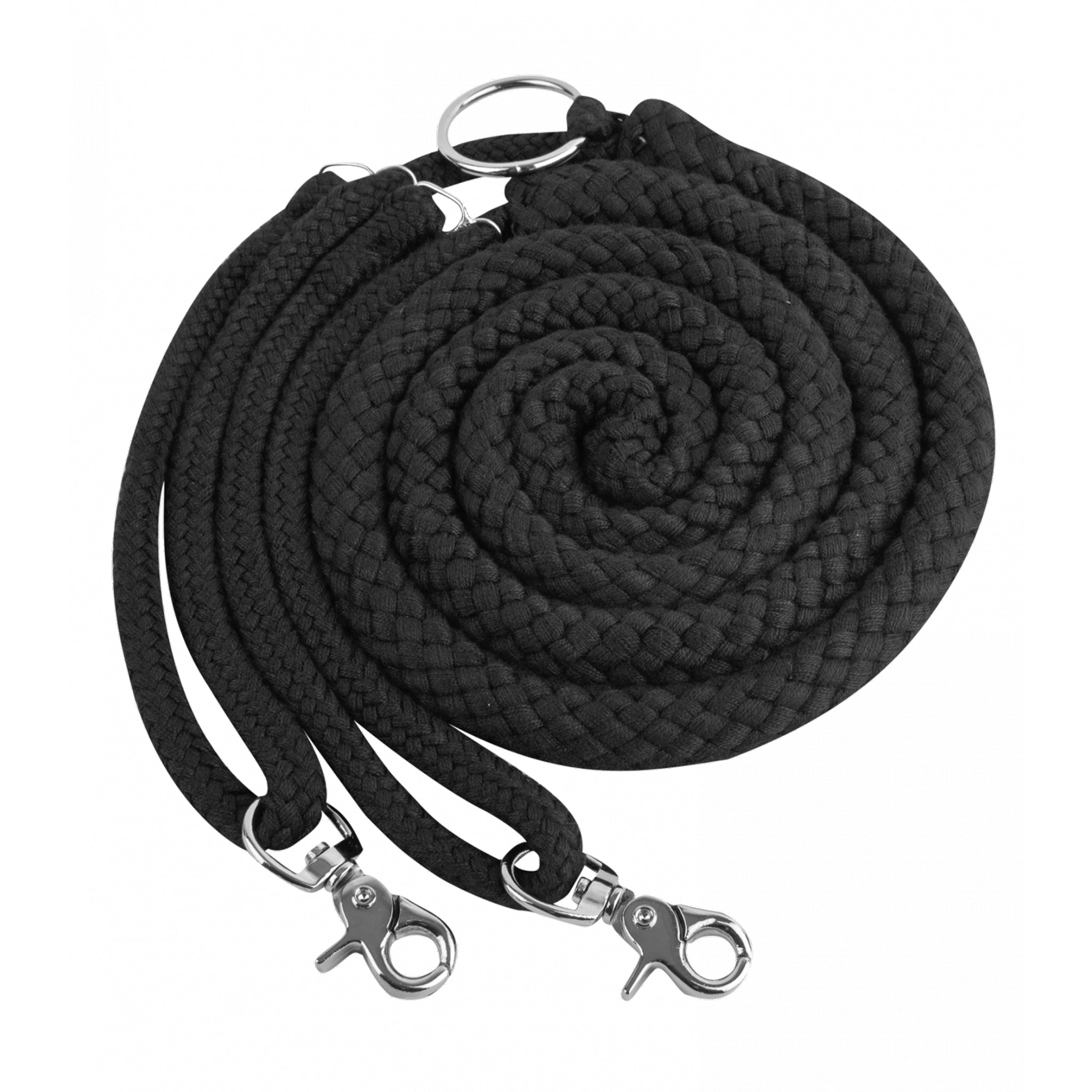 Walhausen Lunging Aid
