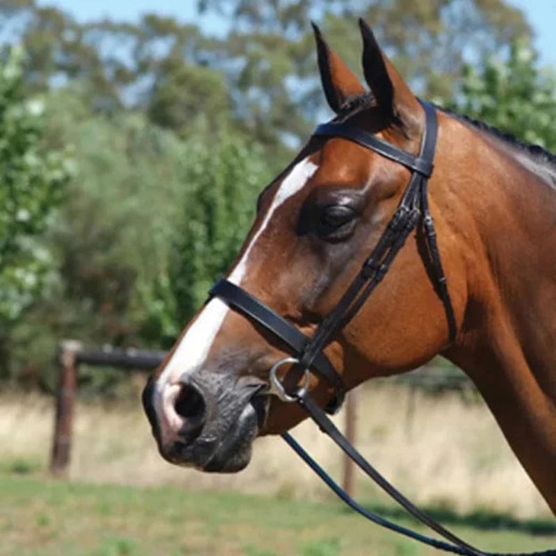 Grainge Elite Show Snaffle Black Pony