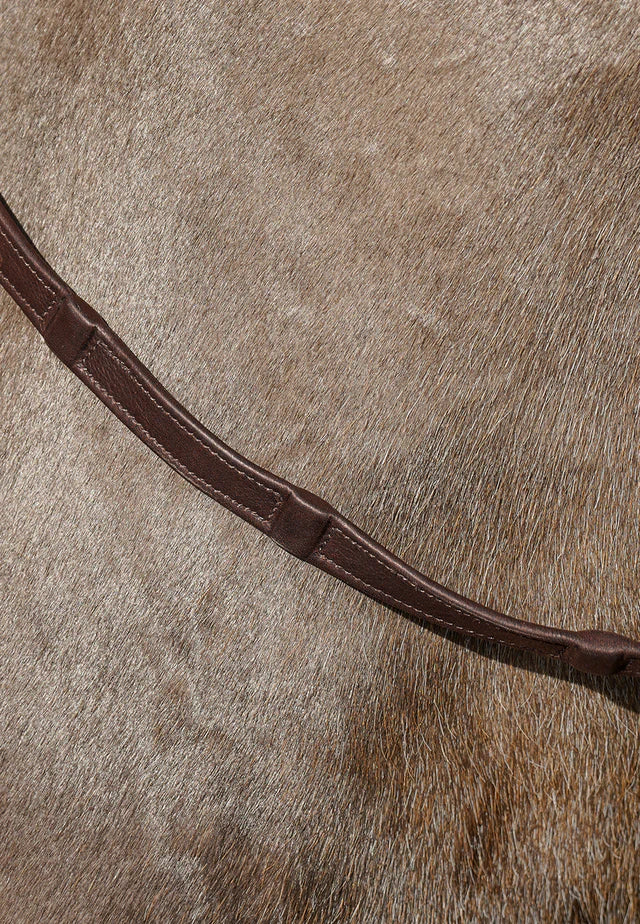 Hinterland Forked / Split Reins