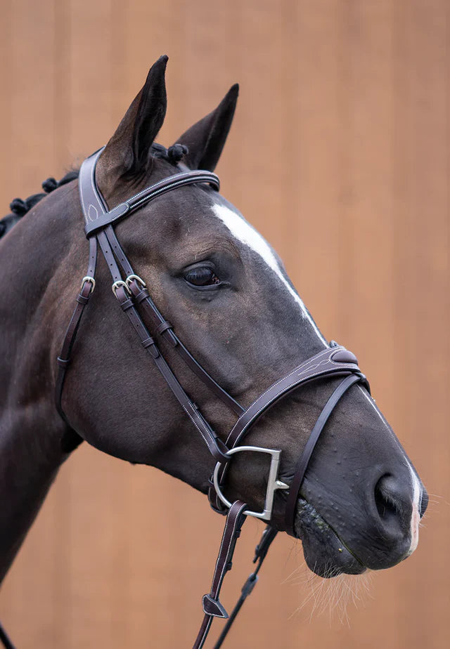 Hinterland Ultimate Comfort Bridle with Rubber Grip Reins