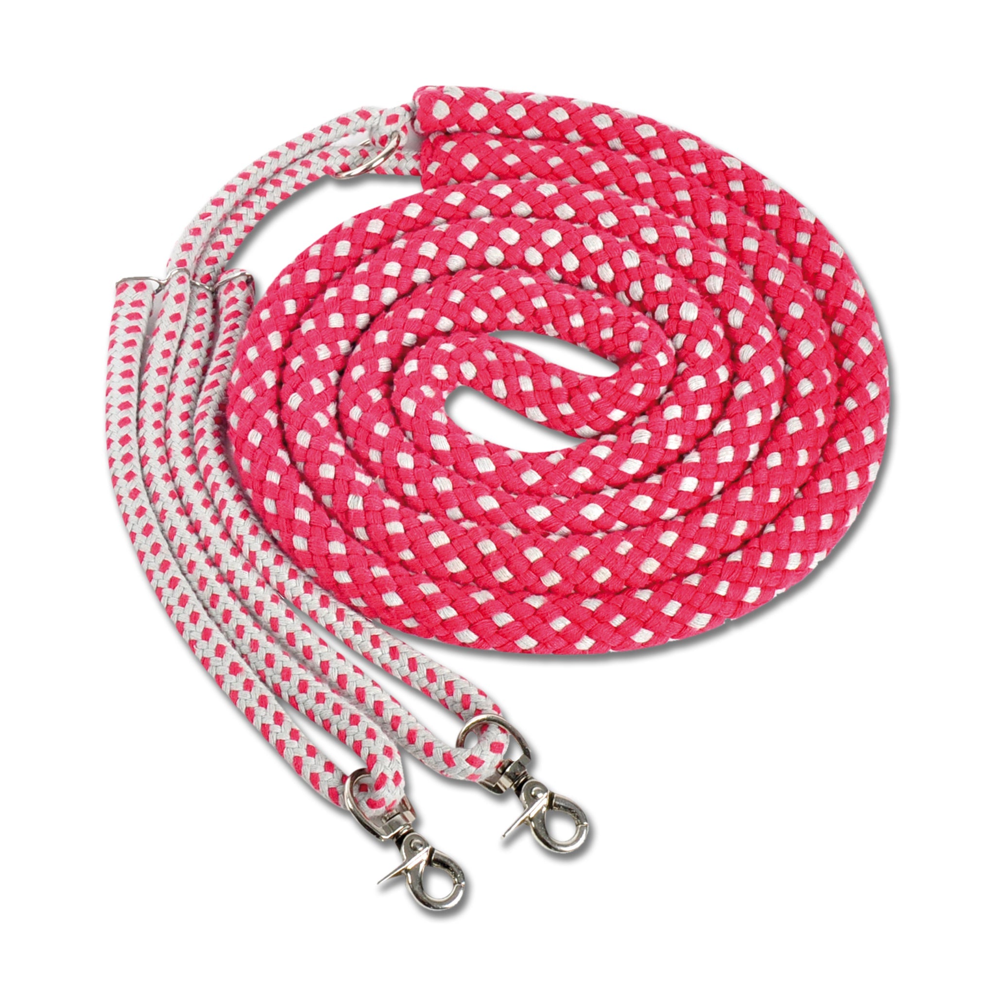 Walhausen Lunging Aid