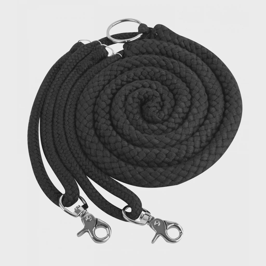 Waldhausen Lunging Aid Black