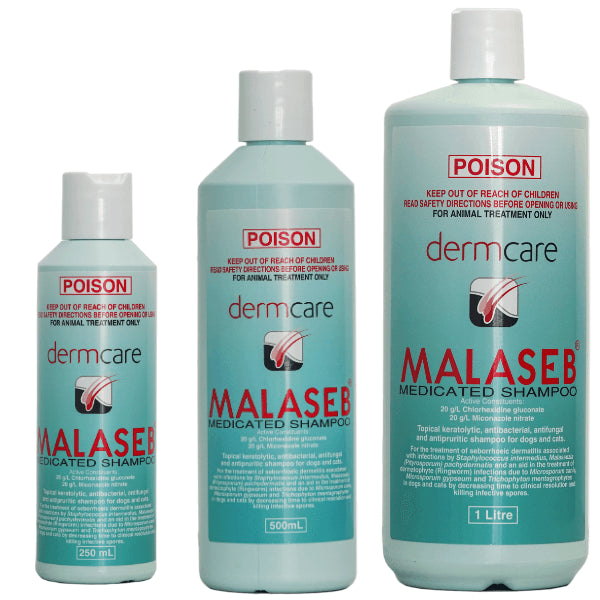 Dermcare Malaseb Medicated Shampoo
