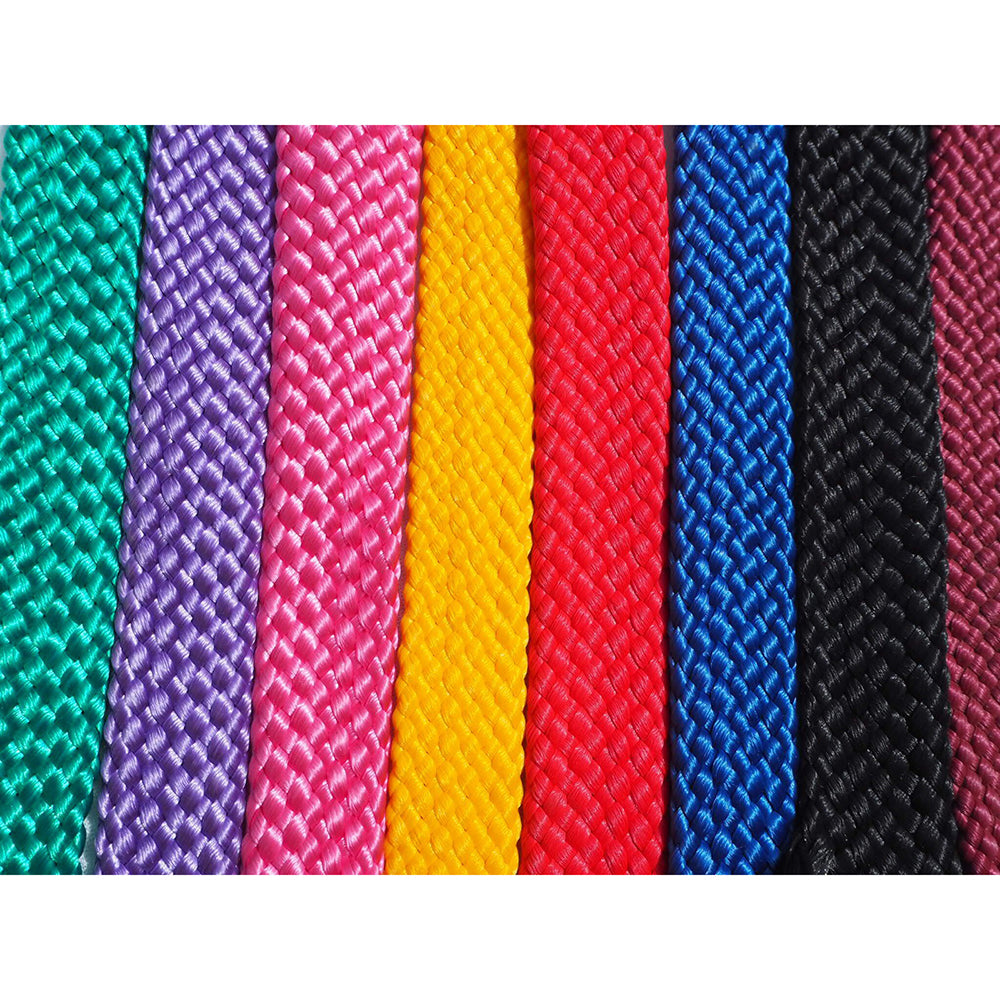 Reins
