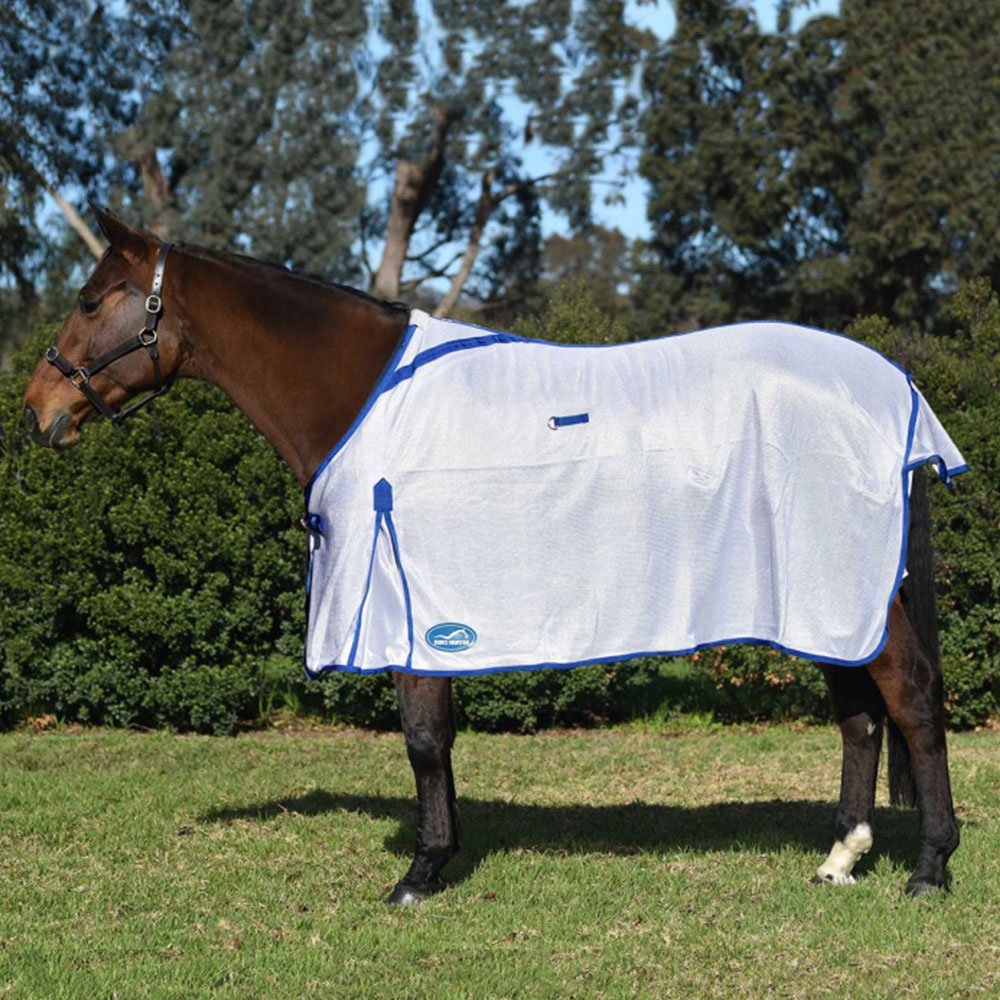 Summer Rugs