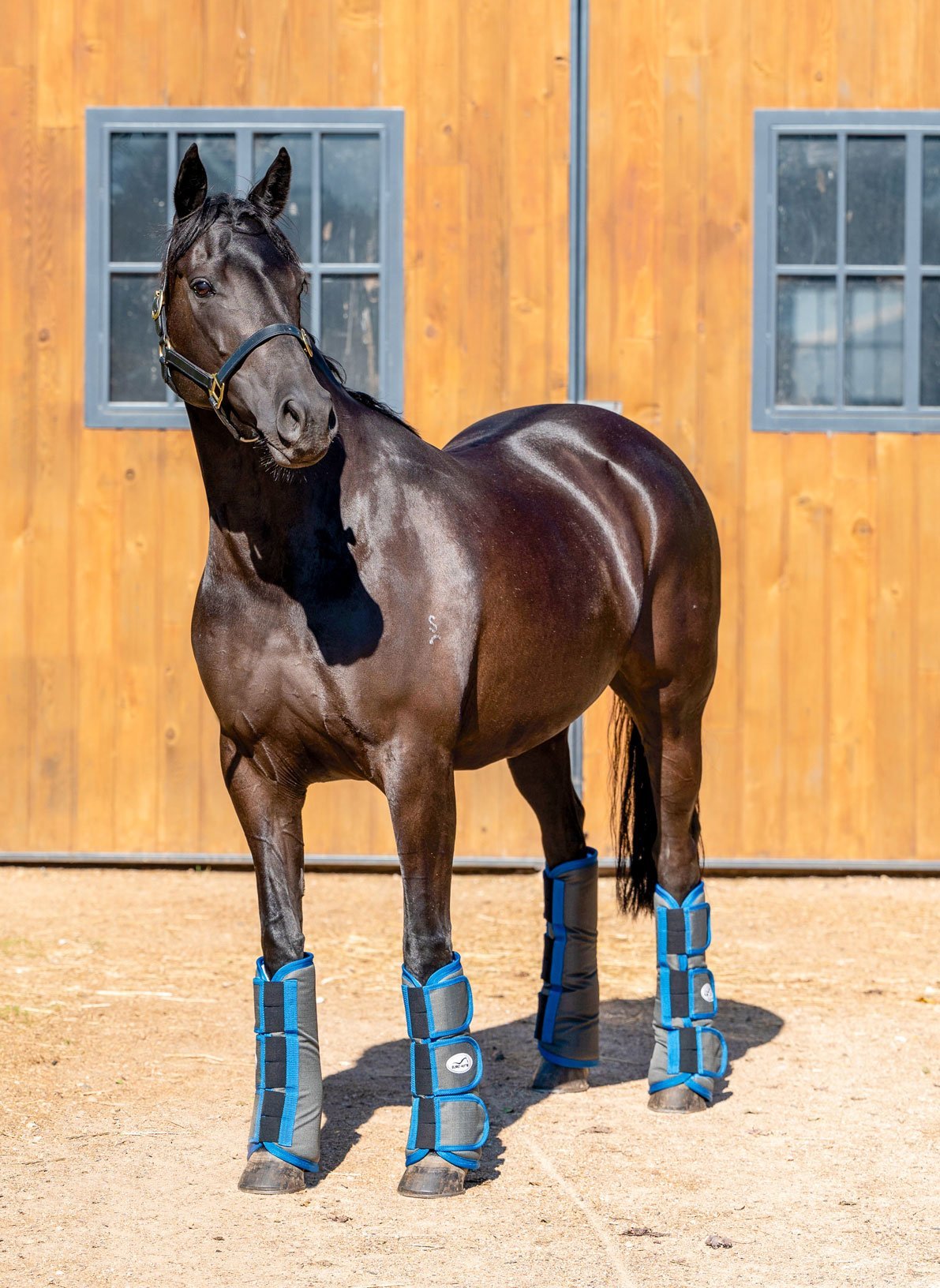 Transport and Medical Boots